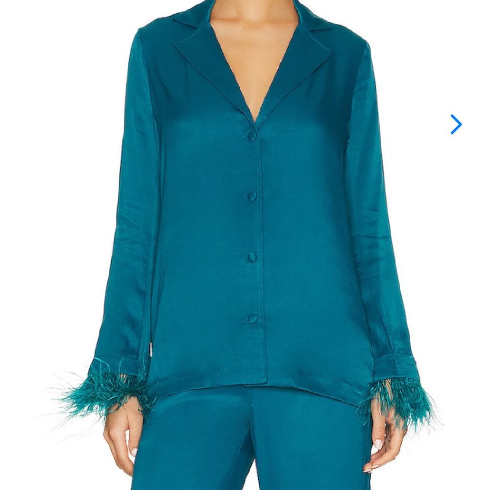 Lovers and Friends Trish Button-Down Top Shirt Blouse Ostrich Feather Size Small